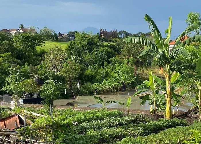 The Secret Of By Is Simple Villa Canggu